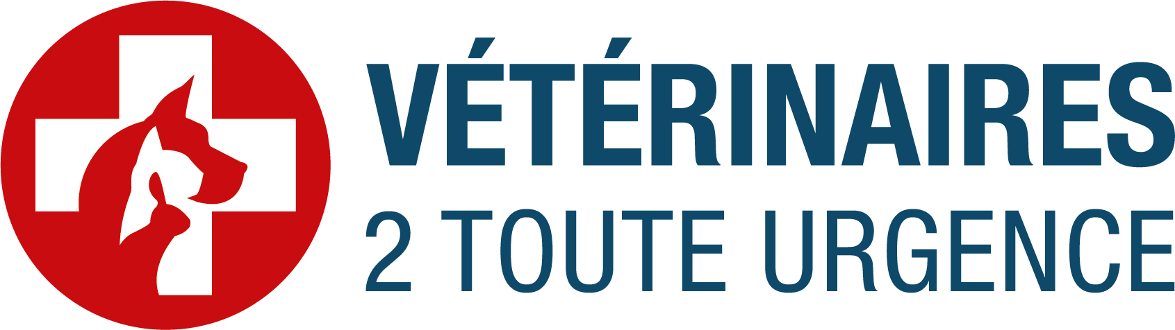 Urgences vétérinaires Biarritz pour Chiens & Chats